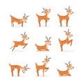 Set of deer. Royalty Free Stock Photo